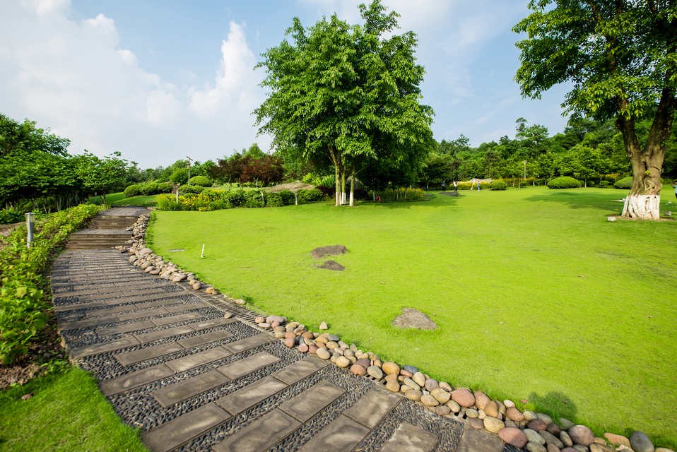 Grassland Landscape Greening Environment Park Background 960